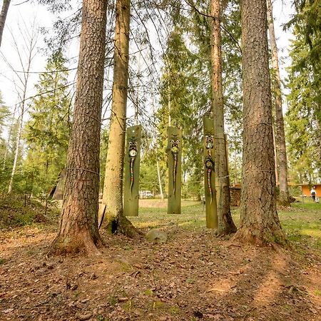 ホテルTaevaskoja Salamaa Põlva エクステリア 写真