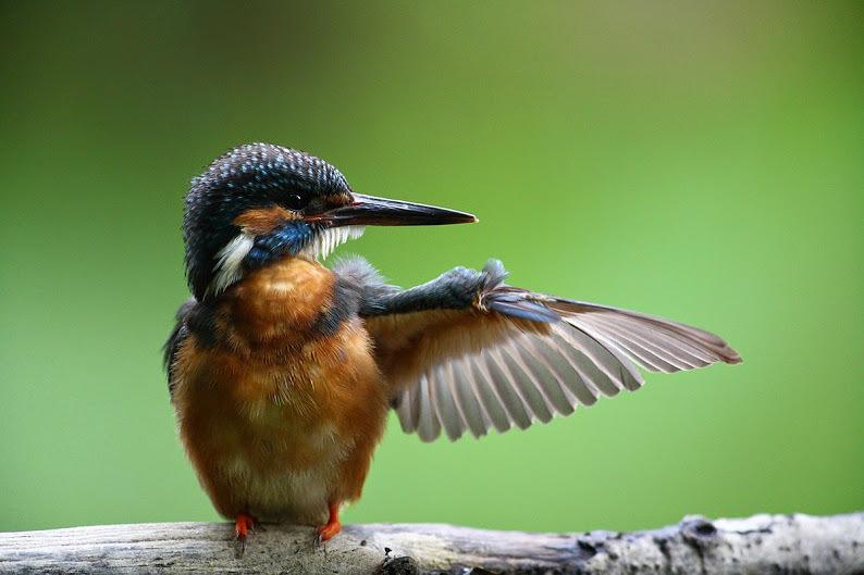 ホテルTaevaskoja Salamaa Põlva エクステリア 写真