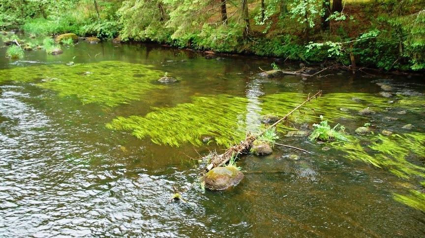 ホテルTaevaskoja Salamaa Põlva エクステリア 写真